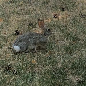 Meet your Posher, Lucille